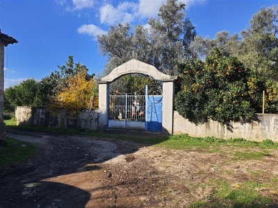 Terreno Agricolo in vendita a Taurianova