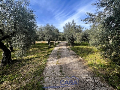 Terreno in vendita a Itri