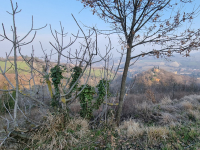 terreno residenziale in vendita a Bologna