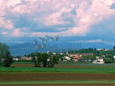 Villa in Vendita ad Lonigo