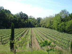 Agriturismo in Vendita a Montecarlo