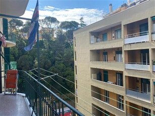 Appartamento - Trilocale a San Fruttuoso, Genova