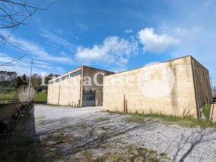 Capannone in Affitto a Lucca, zona Mutigliano, 4'000€, 1050 m²