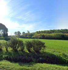 Magazzino in affitto a Vicopisano