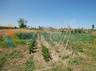 Terreno agricolo in vendita a Savignano Sul Rubicone