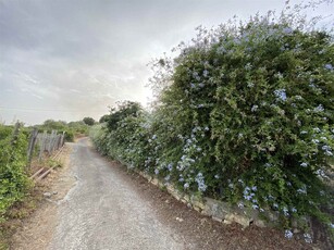 Vendita Terreno agricolo, in zona CONTRADA MONTAGNA, SCORDIA