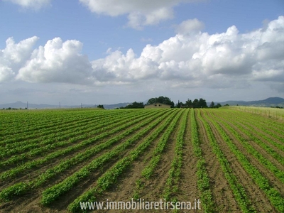 Attivit? commerciale con giardino a Acquapendente