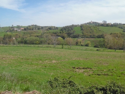 Terreno in vendita, Montefiore dell'Aso aso