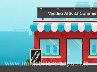 Attività  commerciale in Vendita a Sinalunga