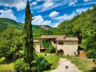 Casale in Vendita a Castelnuovo di Val di Cecina Castelnuovo di Val di Cecina PI, 56041