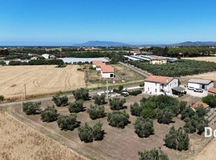 Rustico in Vendita a Capalbio Pescia Fiorentina