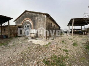 Rustico in Vendita a Capalbio Selva Nera