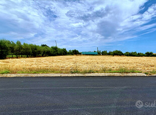 Terreno Agricolo 1.500 MQ fronte strada