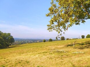 Terreno agricolo in vendita a Collevecchio