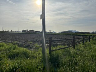 Terreno agricolo in Vendita a San Pietro Viminario San Pietro Viminario