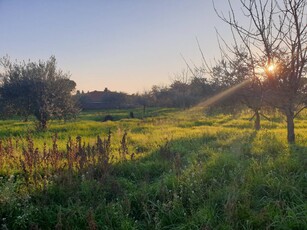 Terreno agricolo in vendita a Velletri