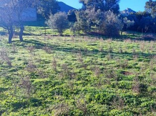 Terreno edificabile in Vendita a Loiri Porto San Paolo