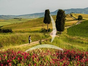 Terreno edificabile in vendita a Sinalunga