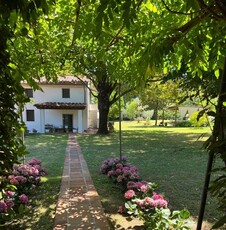 Villa in affitto Via Valdicastello Carducci, 82, Pietrasanta, Toscana