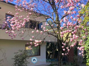 Villa in Vendita a Padova Guizza