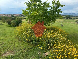 Villetta bifamiliare in vendita a Cerreto Guidi