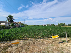 terreno residenziale in vendita a Montagnana