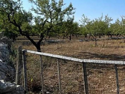 Terreno in Contrada Pasquariello, 100, Ruvo di Puglia (BA)