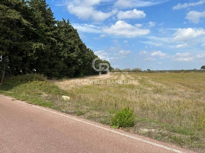 terreno agricolo in vendita a Muro Leccese