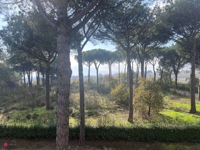 Albergo in Vendita in Strada Provinciale Zabatta a Terzigno