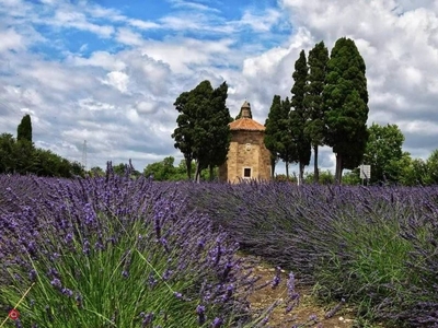 Appartamento in Vendita in a Castagneto Carducci