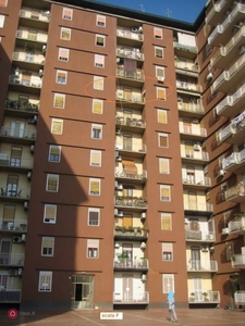 Appartamento in Vendita in Via del Rotolo a Catania