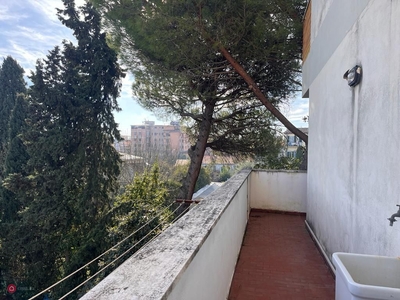 Appartamento in Vendita in Via Luigi Bianchi a Pisa
