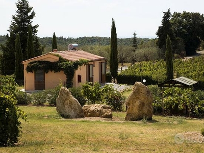 Azienda turistica e vitivinicola Cecina Toscana