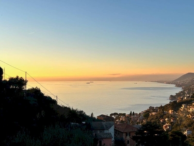 CAMOGLI COLLINA vendiamo terreno con progetto approvato