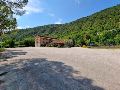 Ristorante in Vendita in Via cattedrale a Fossombrone