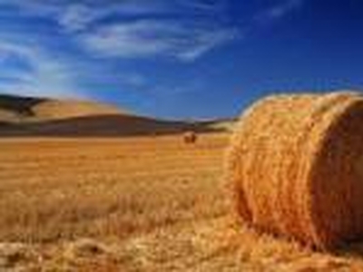 Terreno agricolo in Vendita a Adria