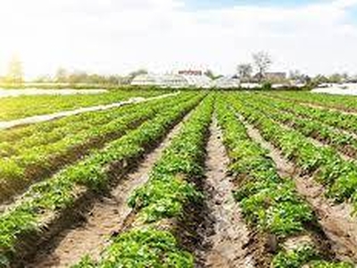 Terreno agricolo in Vendita a Ponso Ponso