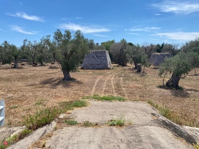 Terreno agricolo in Vendita in SP157 a Muro Leccese