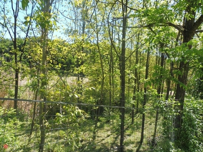 Terreno agricolo in Vendita in Via Bertini a Riano