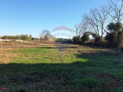 Terreno agricolo in Vendita in Via delle Gru 18 a Ardea