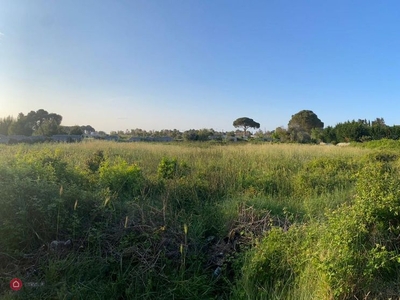 Terreno agricolo in Vendita in Via Otranto a Maglie