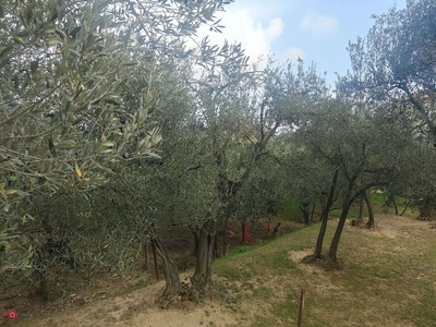 Terreno agricolo in Vendita in Via Viglietta a Vado Ligure