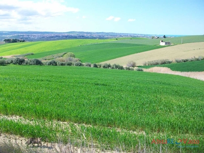 Terreno edificabile in Vendita a Montenero di Bisaccia Contrada San Biase