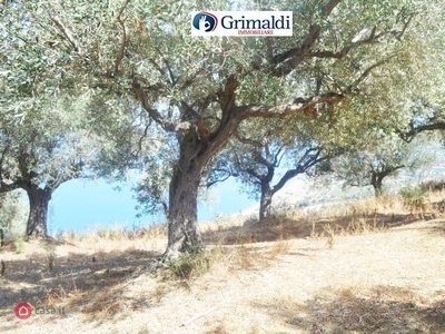 Terreno edificabile in Vendita in Contrada Bellomo a Motta d'Affermo