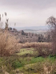 Terreno in Vendita ad Casciana Terme Lari - 55000 Euro