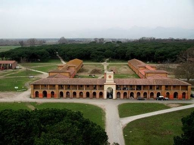 Villa abitabile in zona Barbaricina a Pisa