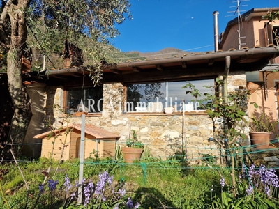Casa indipendente in vendita, Pietrasanta solaio