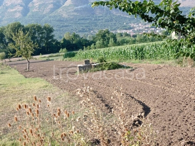 Terreno Agricolo in vendita a Bonea