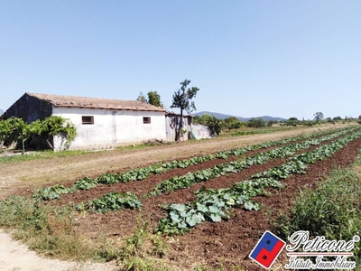 Terreno Agricolo in vendita a Fondi via Portaturo, 18