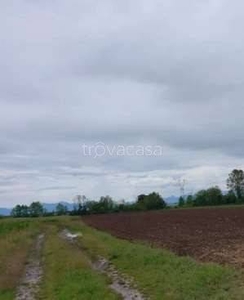 Terreno Agricolo in vendita a Lestizza via Santa Maria